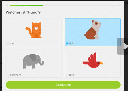 Duolingo App zum Deutsch Lernen - Deutsch Apps